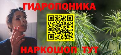 гидропоника Будённовск