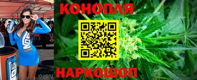 гидропоника Будённовск