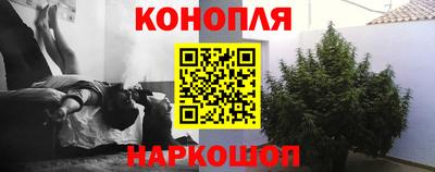 гидропоника Будённовск