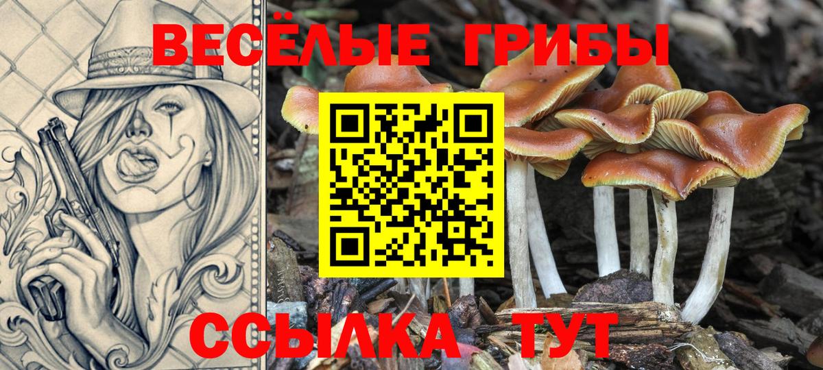 Галлюциногенные грибы MAGIC MUSHROOMS Ноябрьск