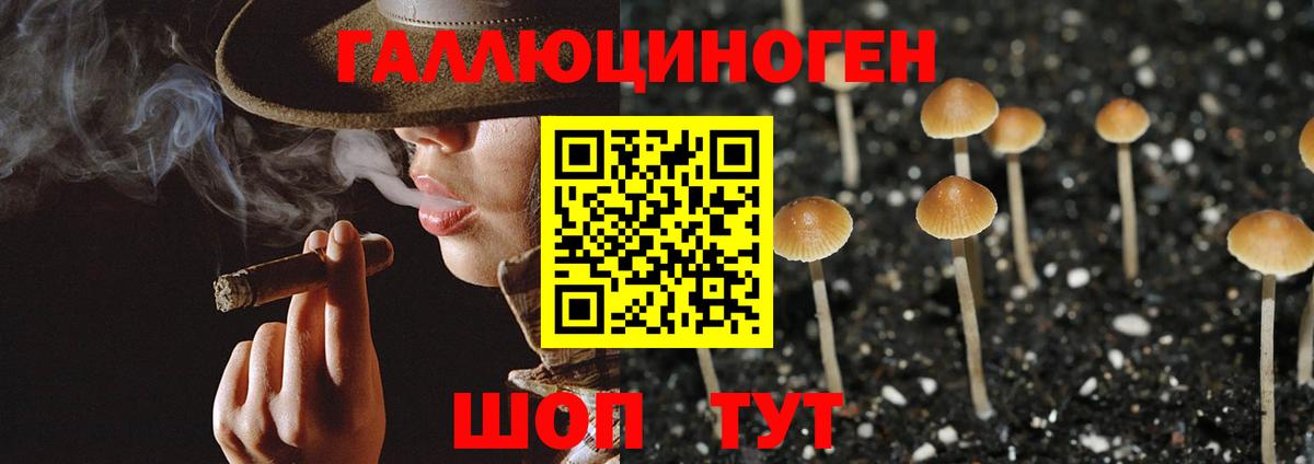 Псилоцибиновые грибы Psilocybe  Галлюциногенные грибы GOLDEN TEACHER  Ноябрьск  хочу наркоту  Вход с VPN 