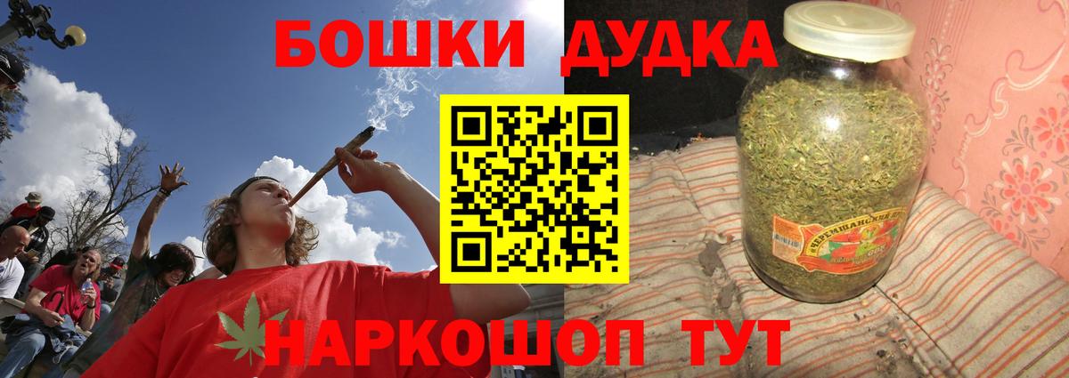 Канабис сатива Ноябрьск